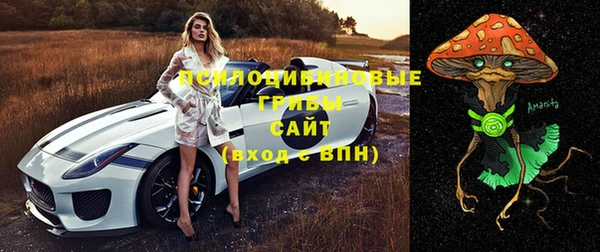 МДПВ Навашино