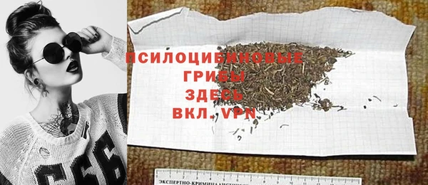 apvp Надым