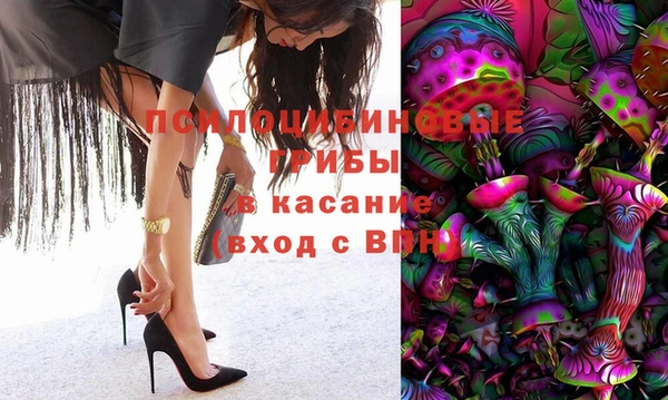 сатива Усинск