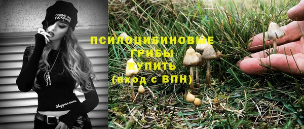 apvp Надым