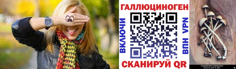 наркошоп  Дегтярск  Псилоцибиновые грибы MAGIC MUSHROOMS 